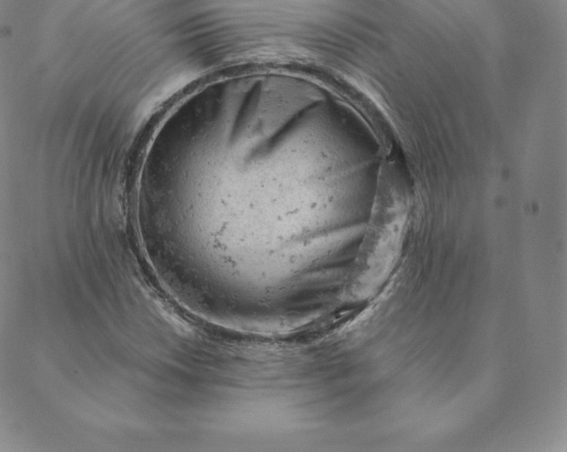 X0000088651018200706081632