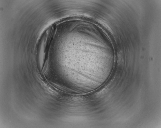 X0000088651021200706081632