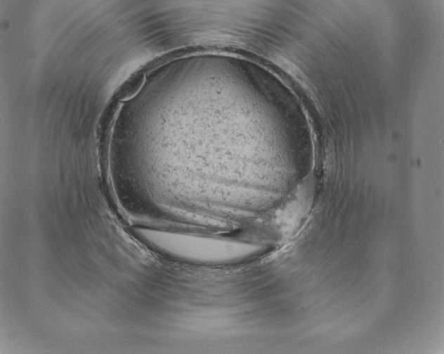 X0000088651022200706081632