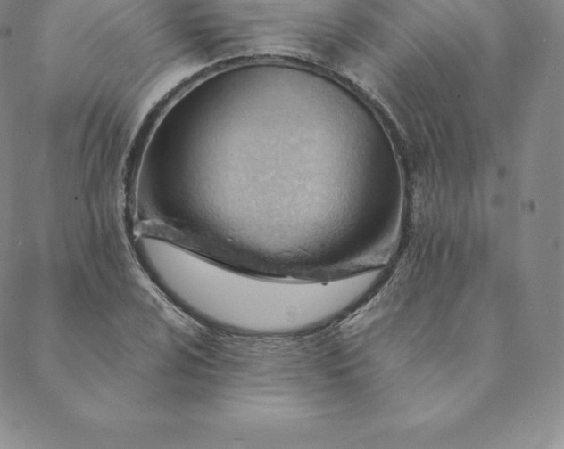 X0000088651024200706081632