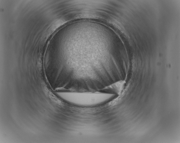 X0000088651025200706081632