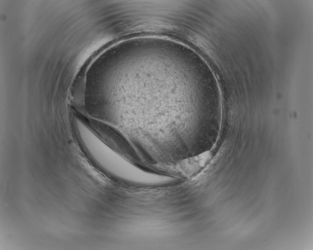 X0000088651026200706081632