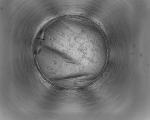 X0000088651027200706081632