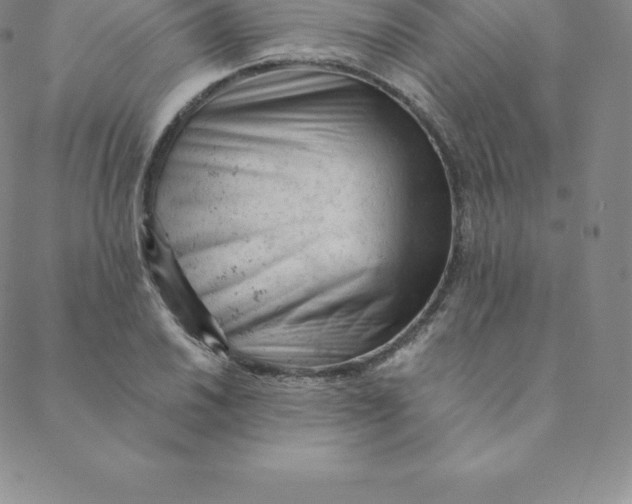 X0000088651030200706081632