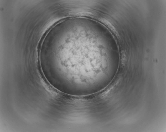 X0000088651031200706081632