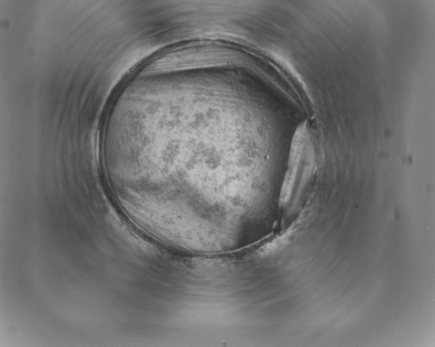 X0000088651032200706081632