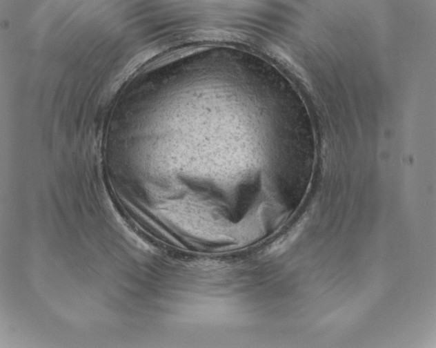 X0000088651033200706081632