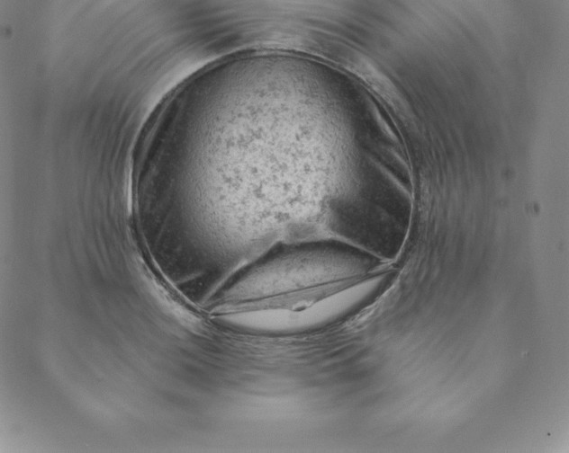 X0000088651036200706081632