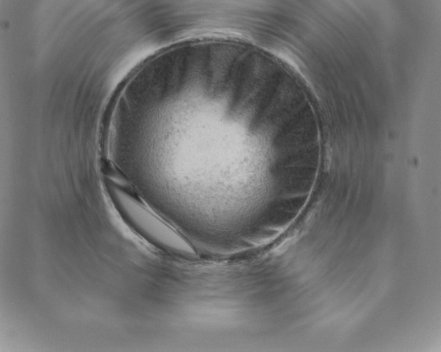 X0000088651038200706081632