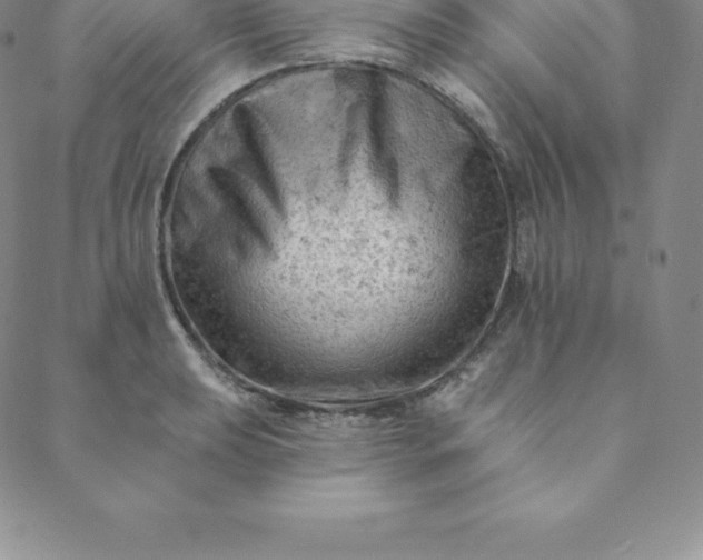 X0000088651039200706081632