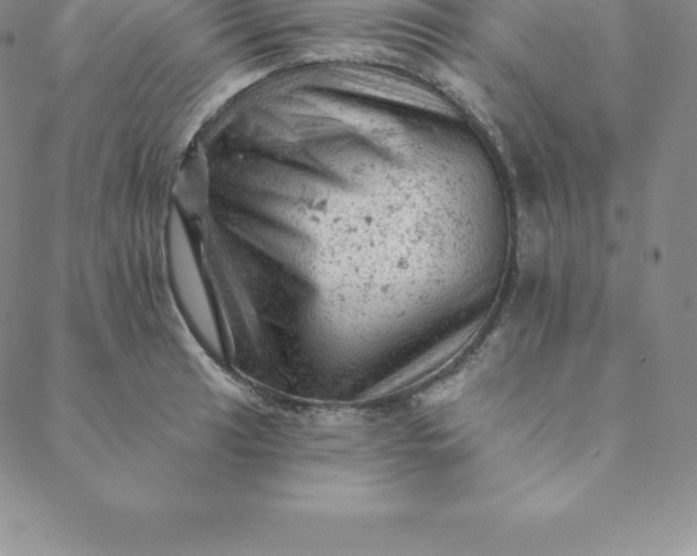 X0000088651041200706081632