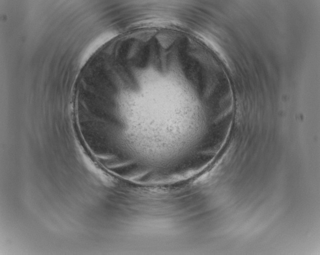 X0000088651042200706081632