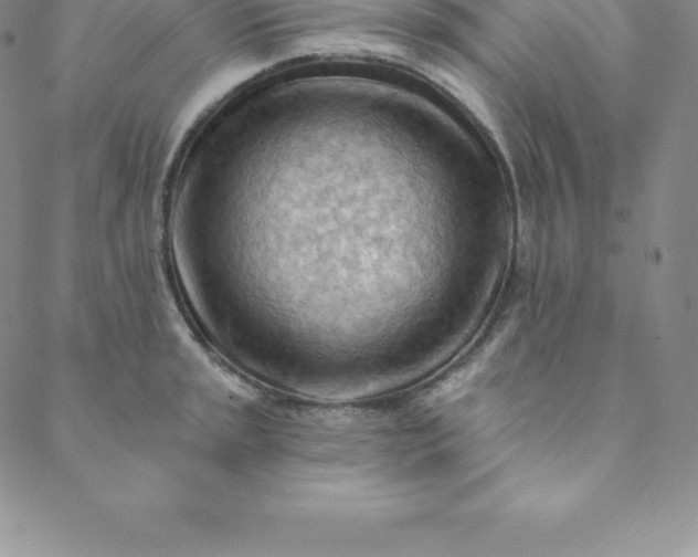 X0000088651045200706081633