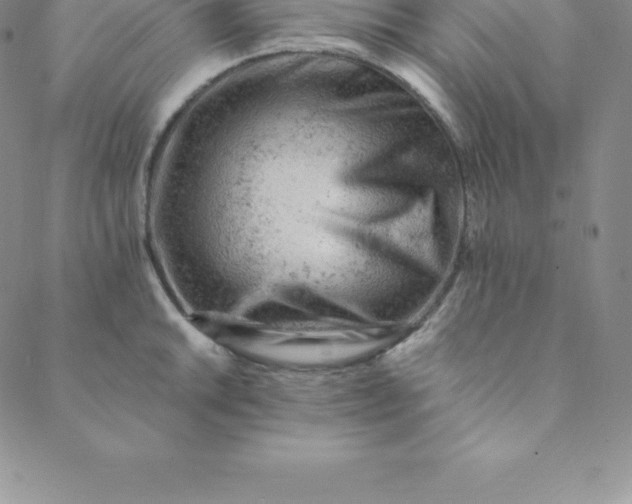 X0000088651046200706081633