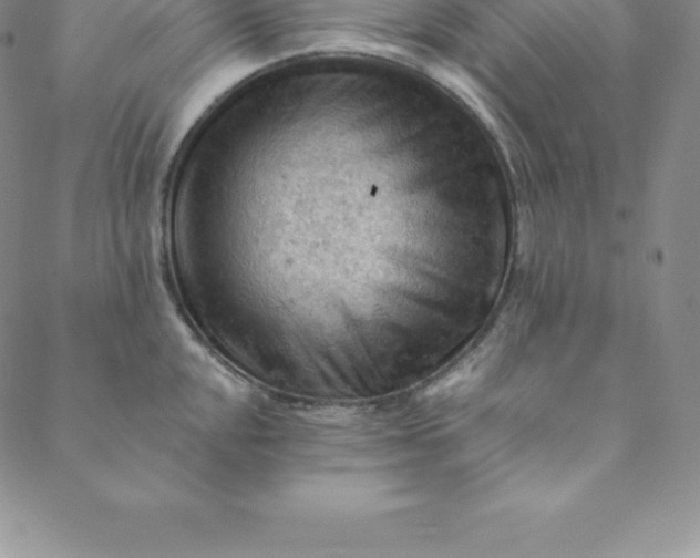 X0000088651048200706081633