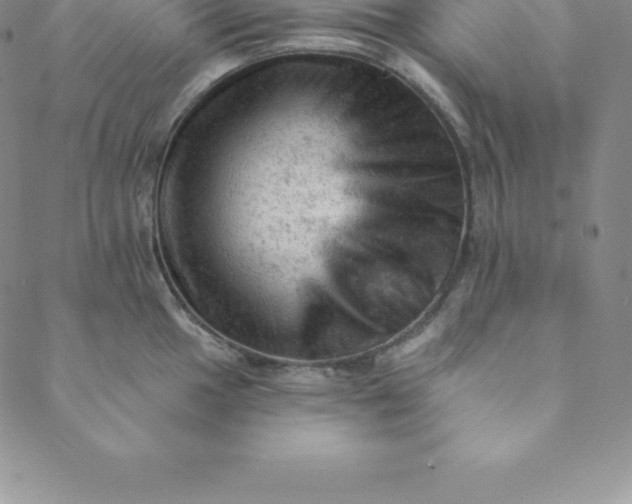 X0000088651049200706081633