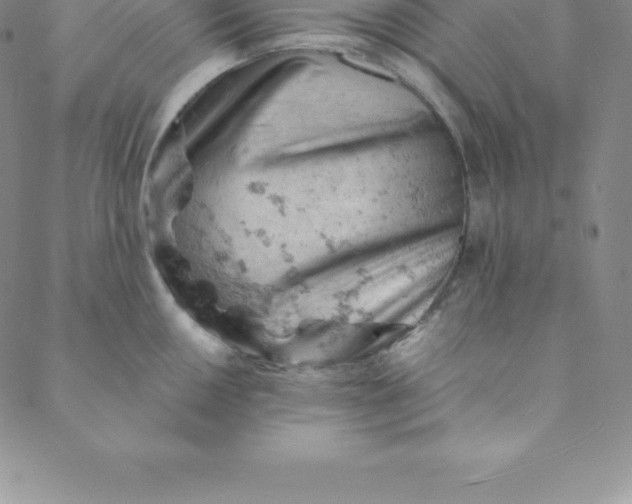 X0000088651050200706081633