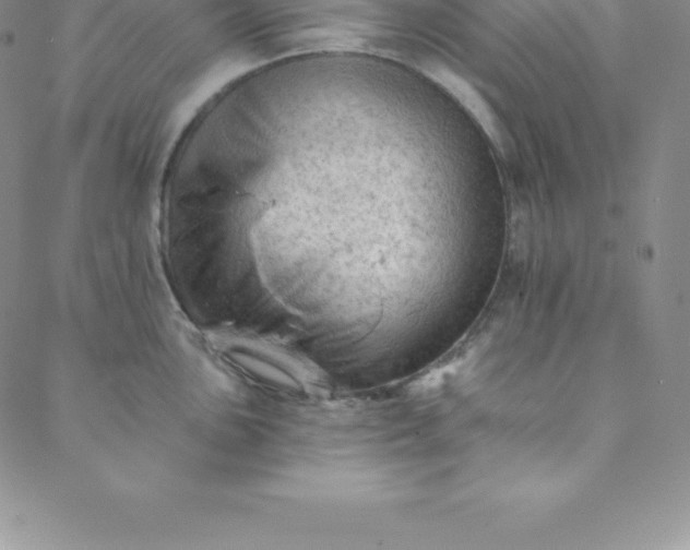 X0000088651051200706081633