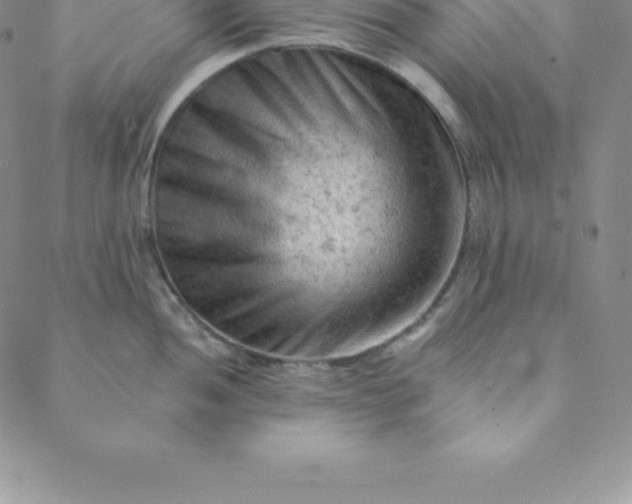 X0000088651052200706081633