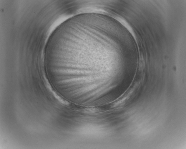 X0000088651053200706081633