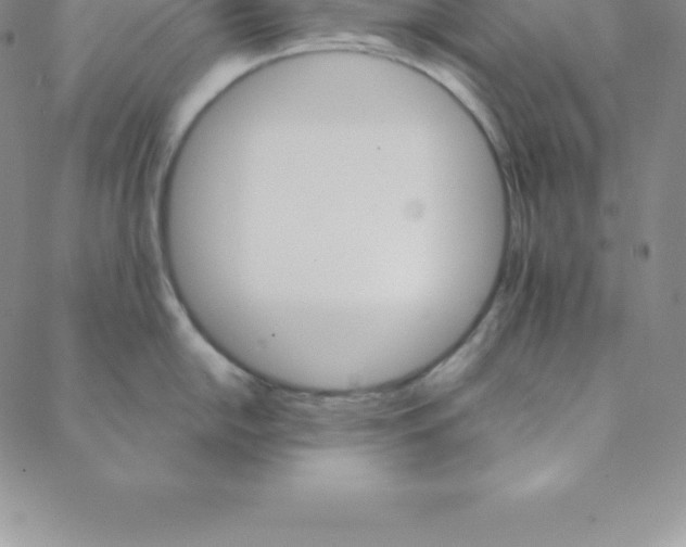 X0000088651054200706081633