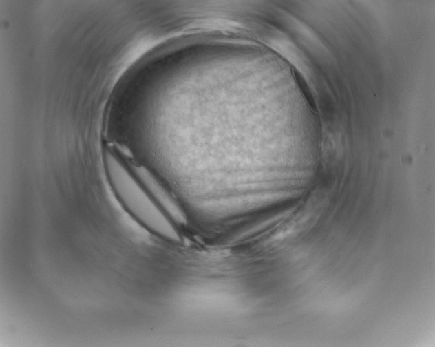 X0000088651055200706081633