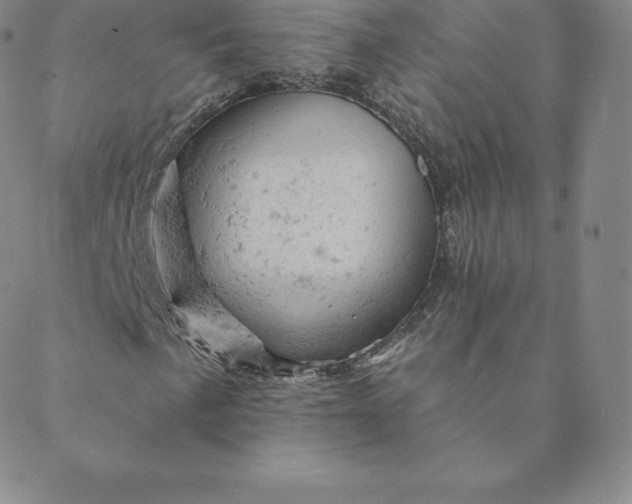 X0000088651057200706081632