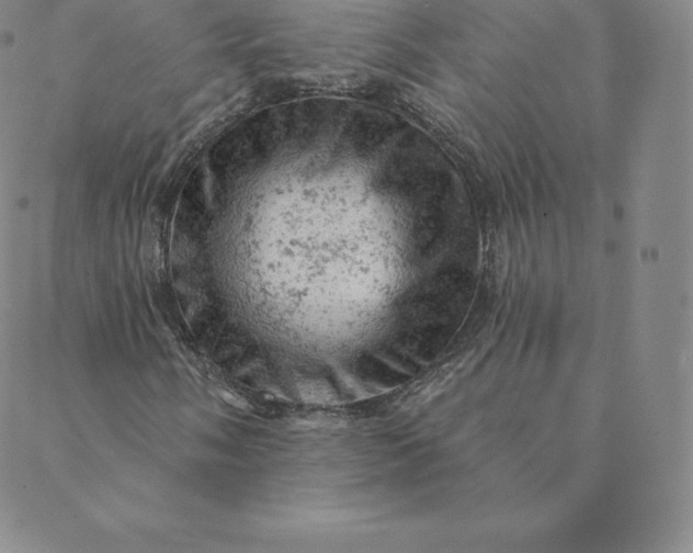 X0000088651058200706081632