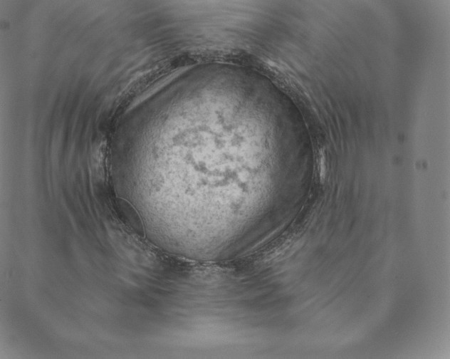 X0000088651059200706081632