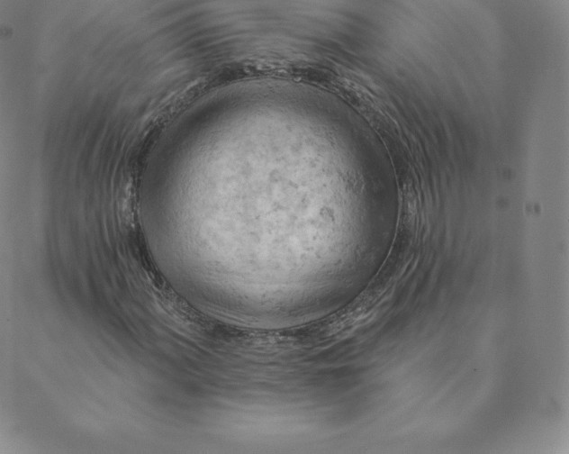 X0000088651060200706081632