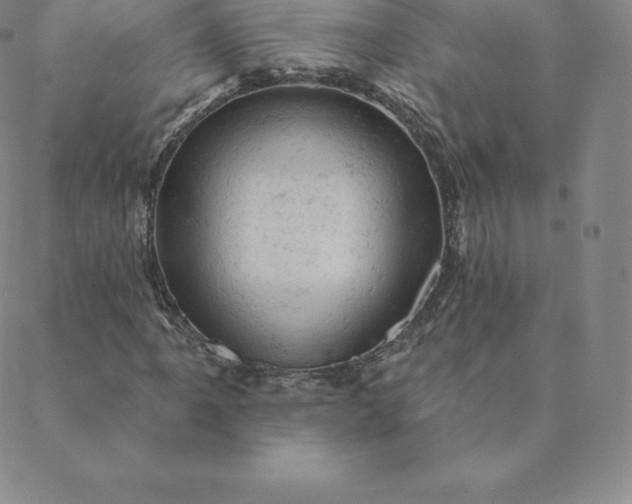 X0000088651061200706081632