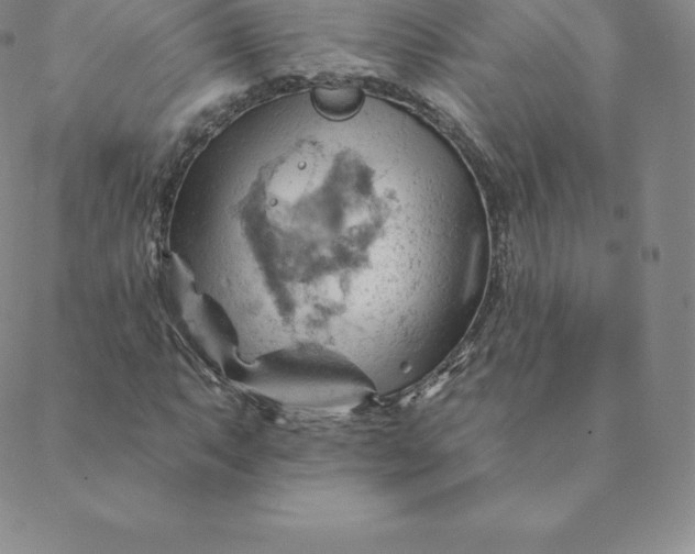 X0000088651063200706081632