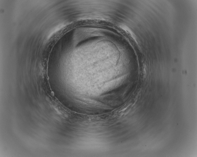 X0000088651064200706081632