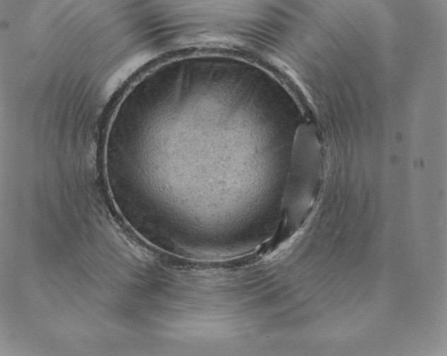 X0000088651066200706081632