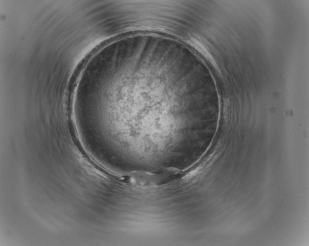 X0000088651068200706081632