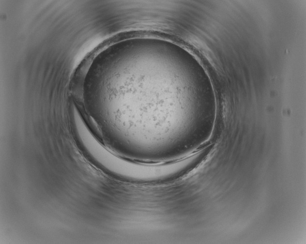 X0000088651069200706081632