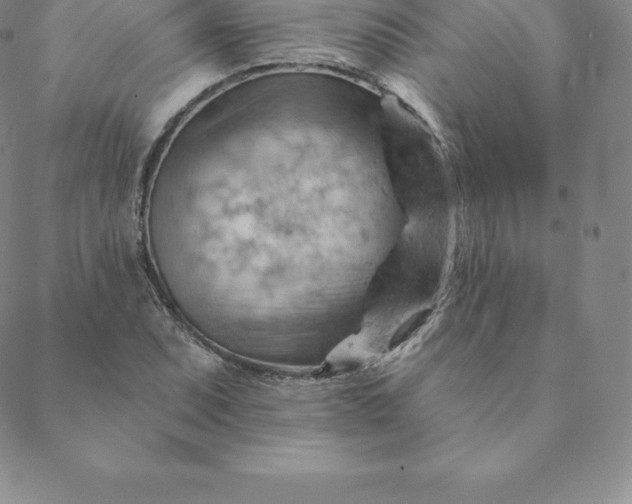 X0000088651071200706081632