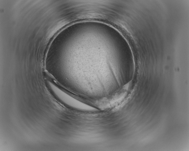 X0000088651073200706081632