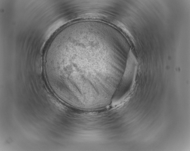 X0000088651075200706081632