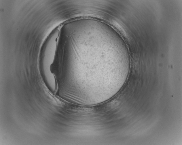 X0000088651076200706081632