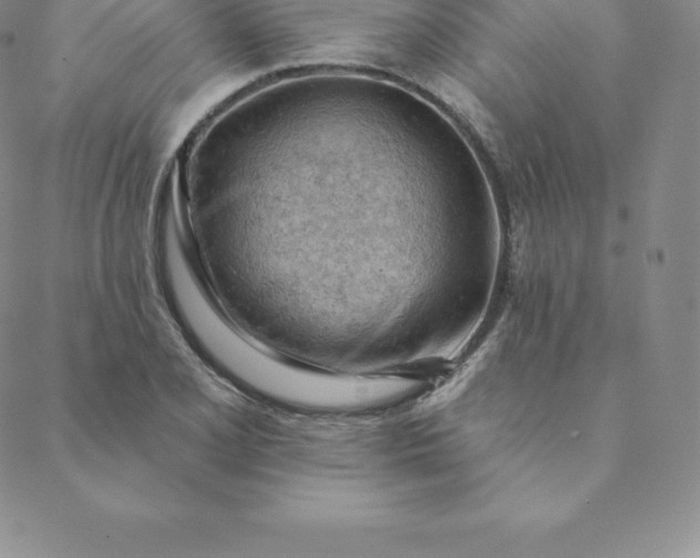 X0000088651077200706081632