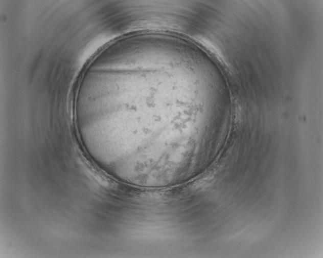 X0000088651078200706081632