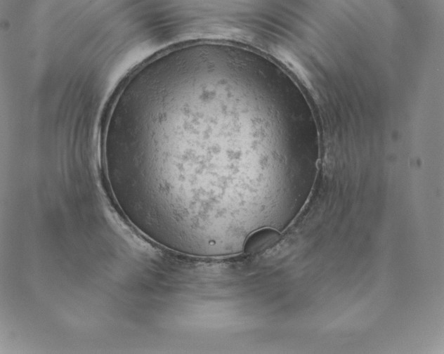 X0000088651080200706081632