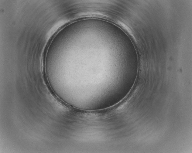 X0000088651082200706081631