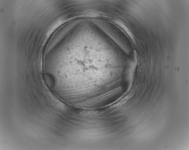 X0000088651083200706081631