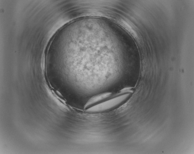 X0000088651084200706081631