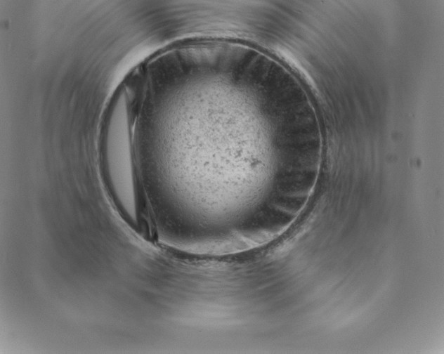 X0000088651085200706081631