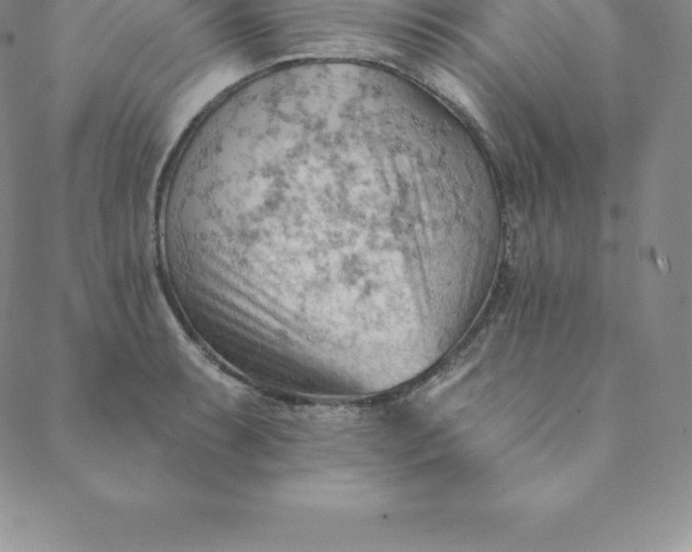 X0000088651087200706081631