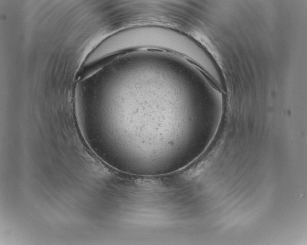 X0000088651089200706081631