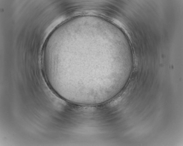 X0000088651090200706081631